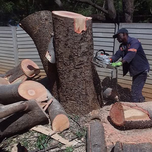 Landscaping Image 12