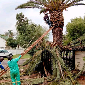 Landscaping Image 15