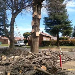Landscaping Image 9